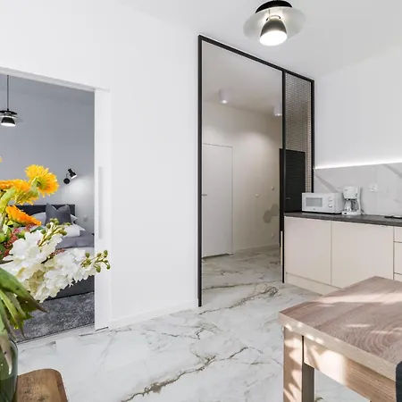 Chwaliszewo With Free Garage By Renters Apartment *