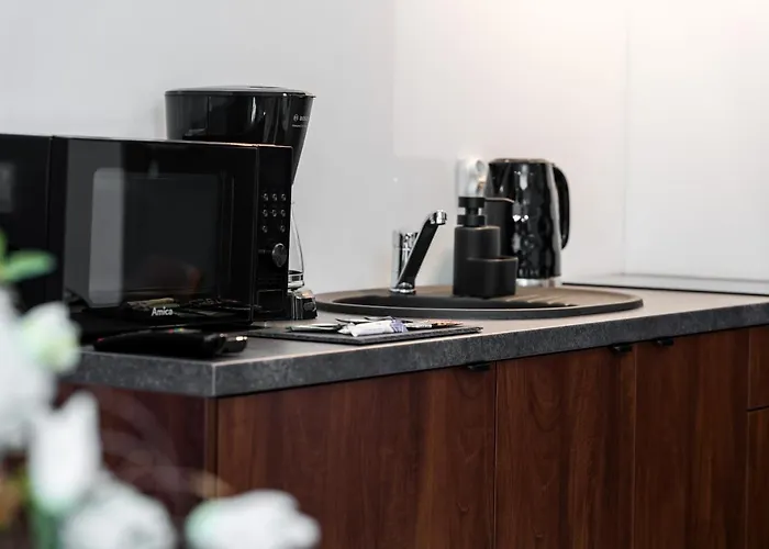 Appartamento Chwaliszewo With Free Garage By Renters *