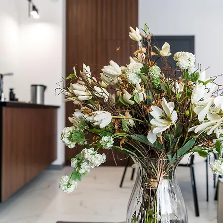 Apartment Chwaliszewo With Free Garage By Renters