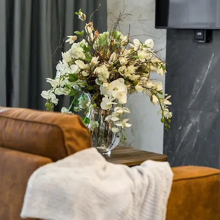 Apartment Chwaliszewo With Free Garage By Renters Posen