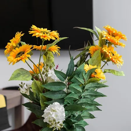 Apartment Chwaliszewo With Free Garage By Renters Poznan