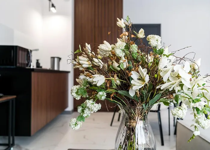 Apartment Chwaliszewo With Free Garage By Renters