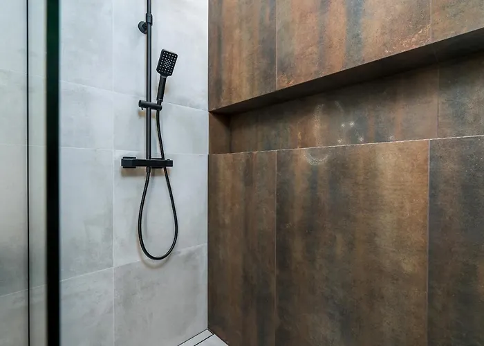 Apartment Chwaliszewo With Free Garage By Renters *